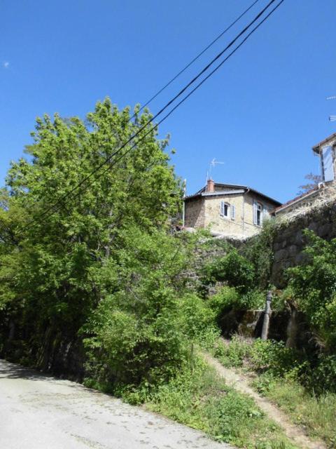 Charmant Gite Avec Parking Gratuit Sur Place. Davézieux Buitenkant foto