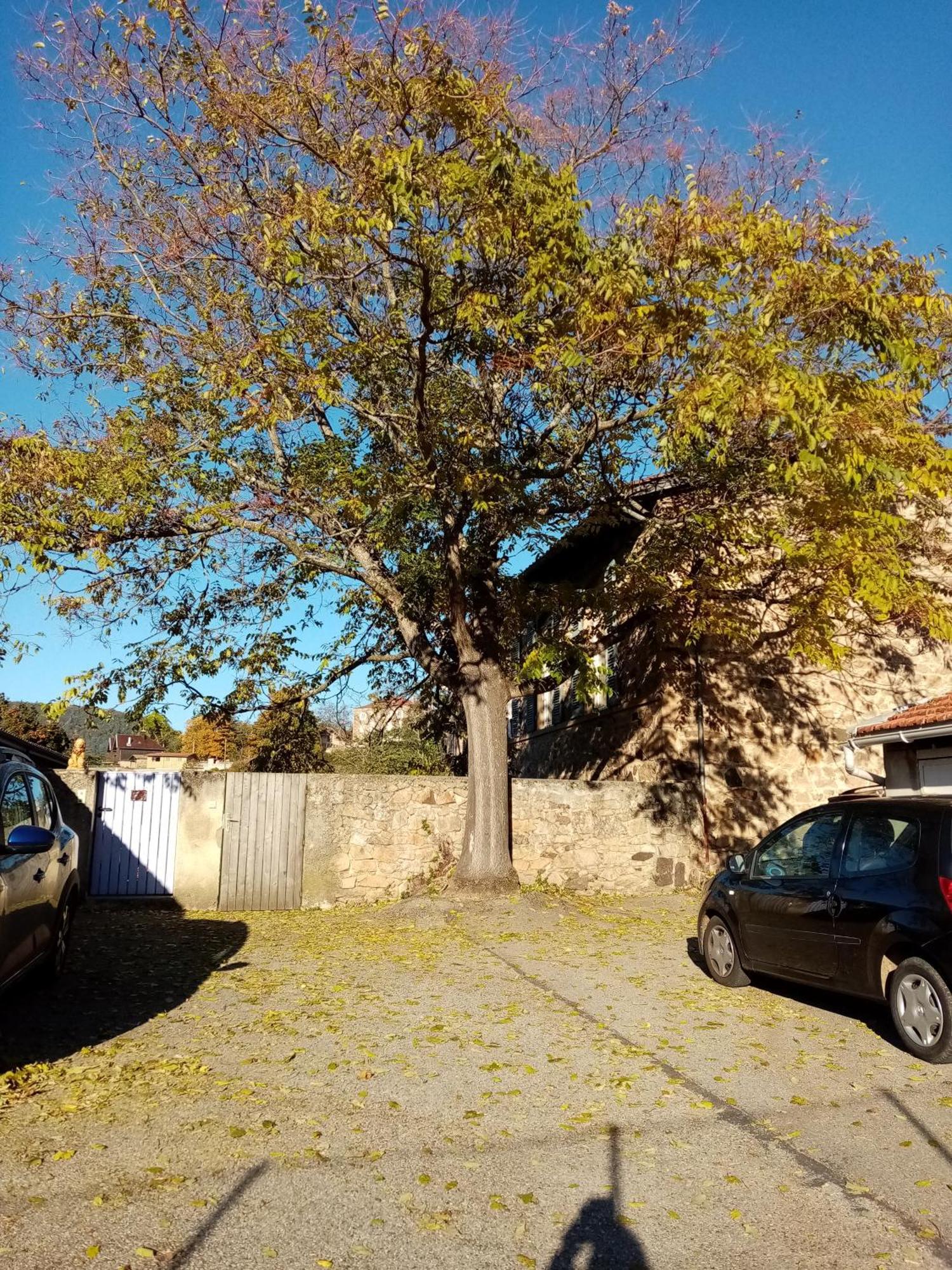 Charmant Gite Avec Parking Gratuit Sur Place. Davézieux Buitenkant foto